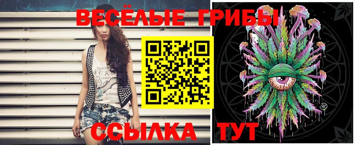 Галлюциногенные грибы GOLDEN TEACHER Старая Купавна