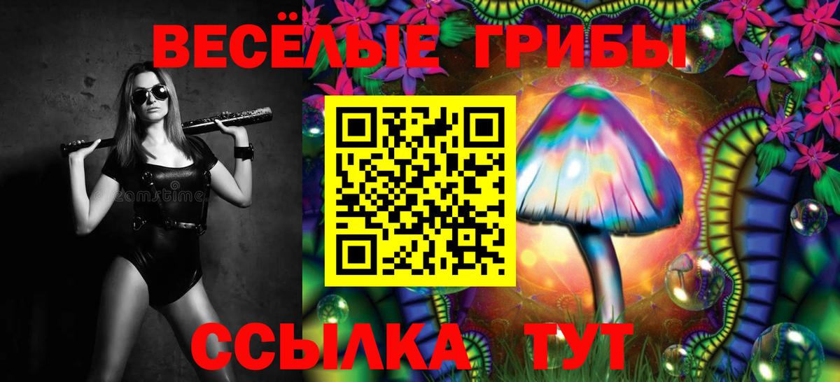 Галлюциногенные грибы Cubensis  Вход с VPN  Псилоцибиновые грибы GOLDEN TEACHER  Старая Купавна 